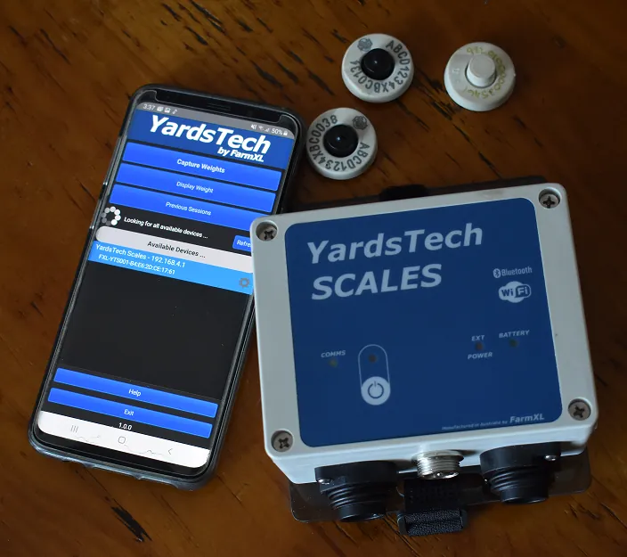 YardsTech&reg; Scales next to a phone running the YardsTech&reg; App, with EID tags